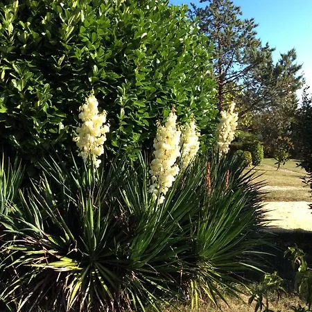 La Manilau Oda ve Kahvaltı