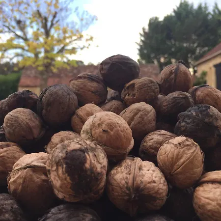 Frühstückspension La Manilau Le Buisson-de-Cadouin