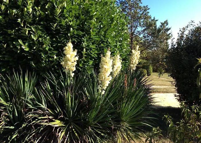 La Manilau Bed & Breakfast