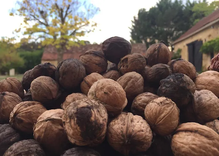 Bed & Breakfast La Manilau Le Buisson-de-Cadouin